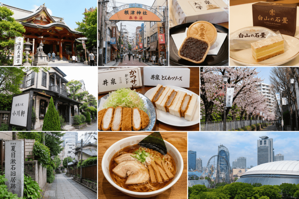 歴史と文化が醸す文京区の極上グルメ紀行